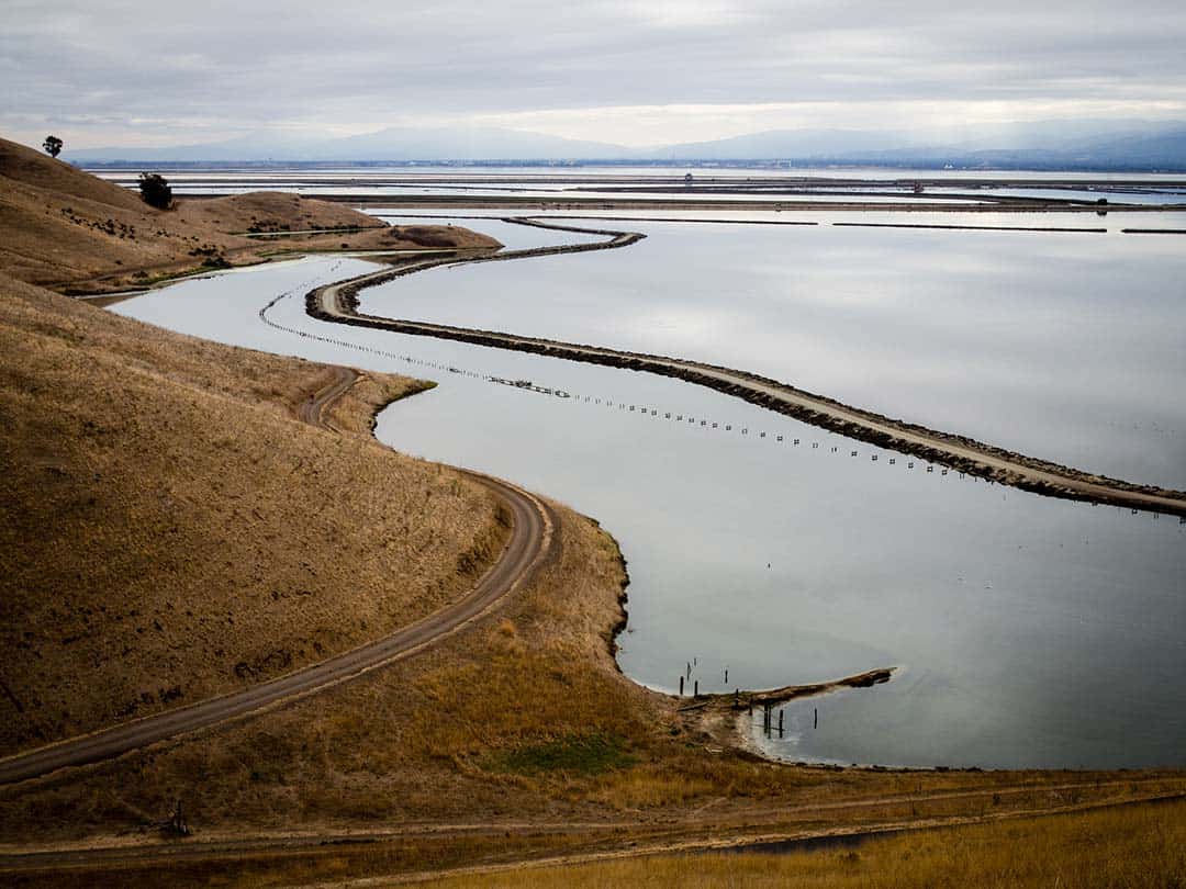 bayview trail coyote hills