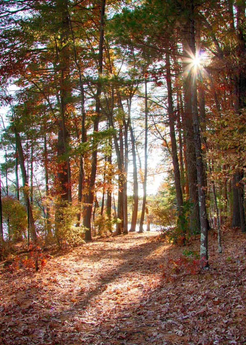 harold parker state forest