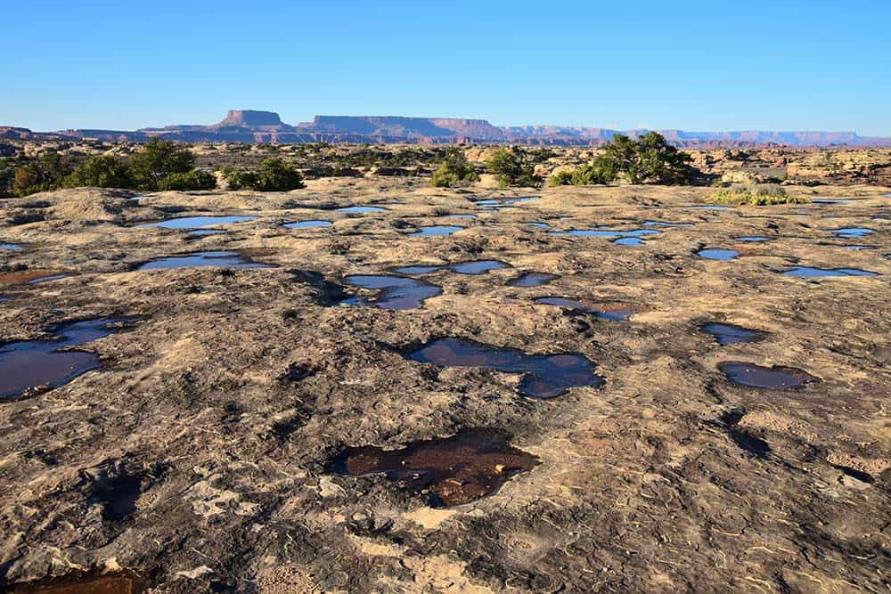 pothole point canyonlands np