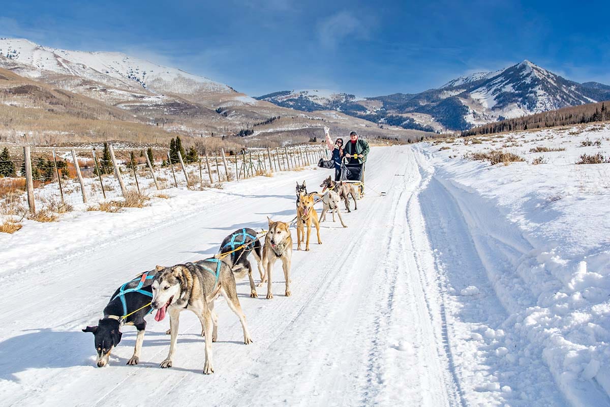 things to do park city winter dog sledding