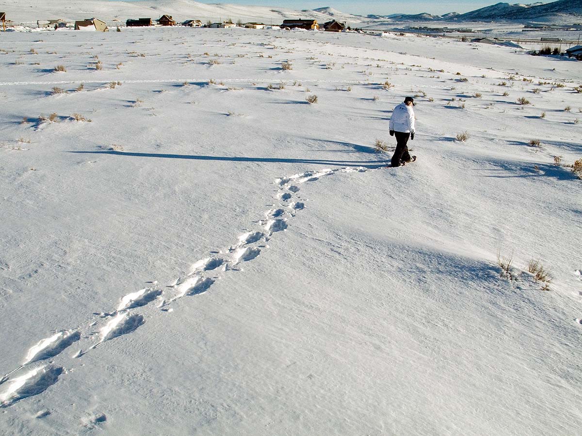 things to do park city winter snowshoe