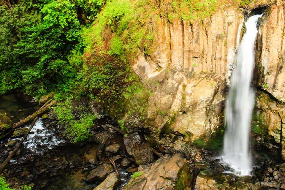 drift creek falls