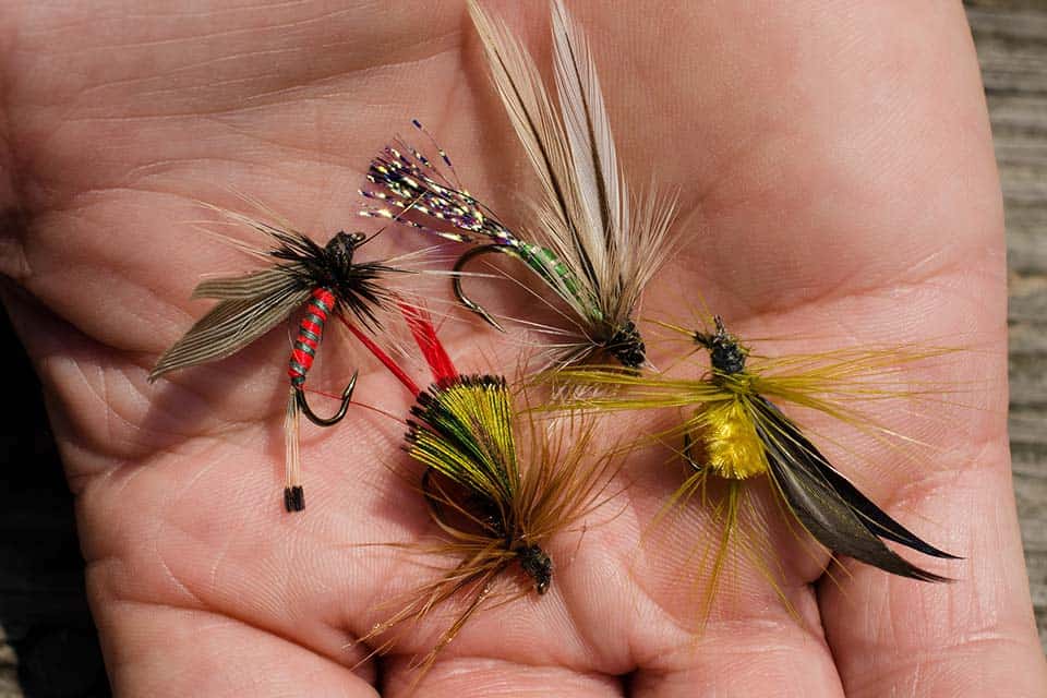 fly fishing flies