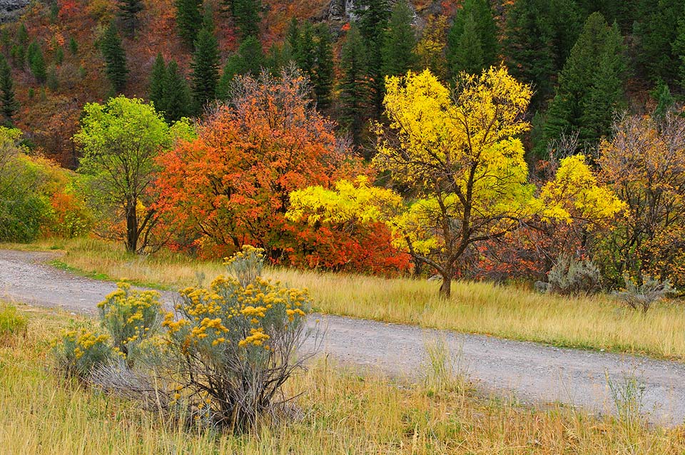 logan canyon scenic byway