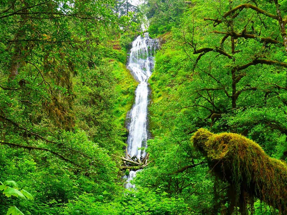 munson creek falls