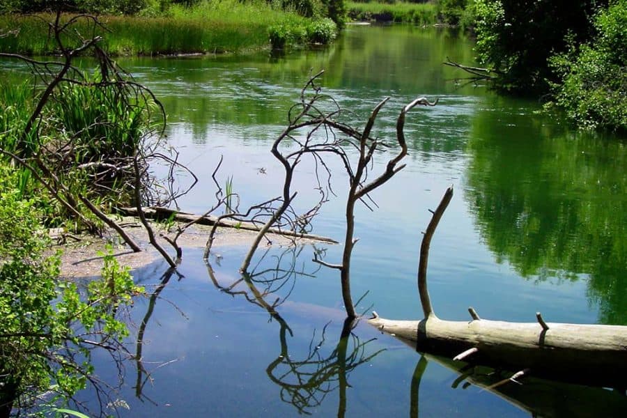 16 Best Hikes Near Spokane, Washington - Territory Supply