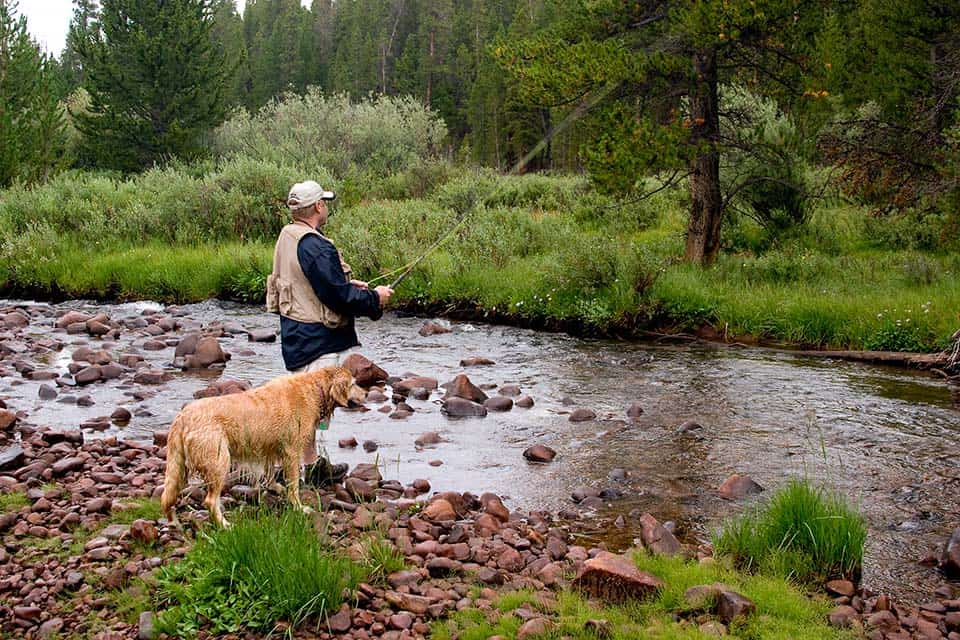 provo river fly fishing