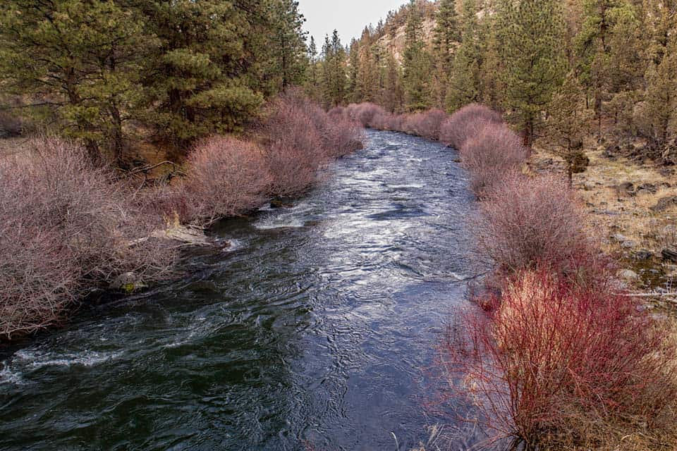 riley ranch bend oregon