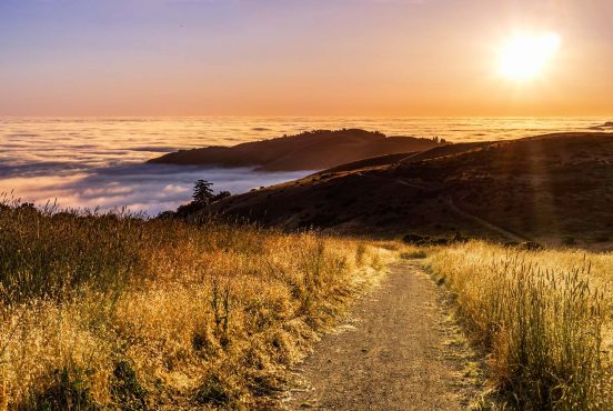 best road trips san francisco