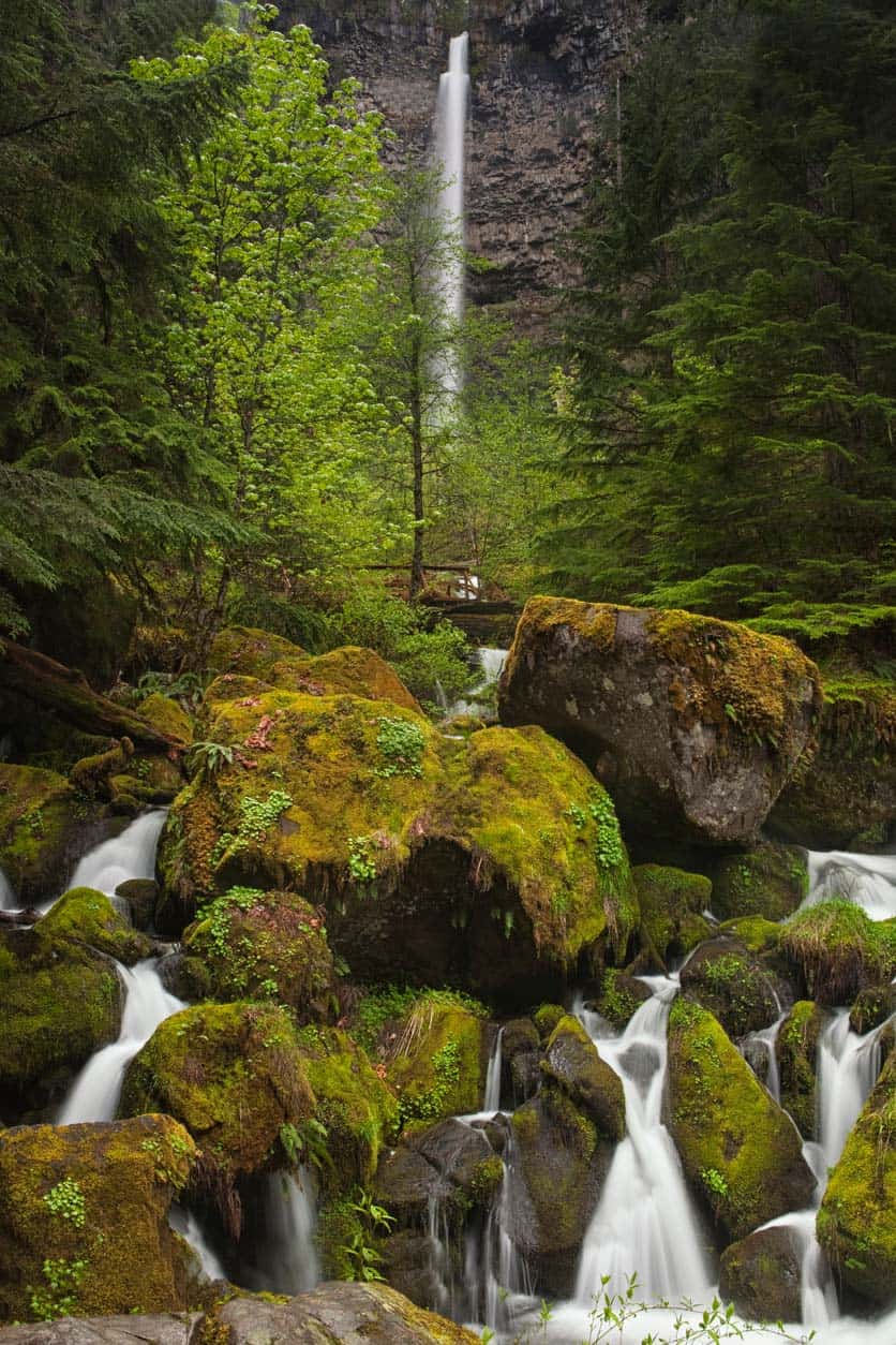 watson falls oregon