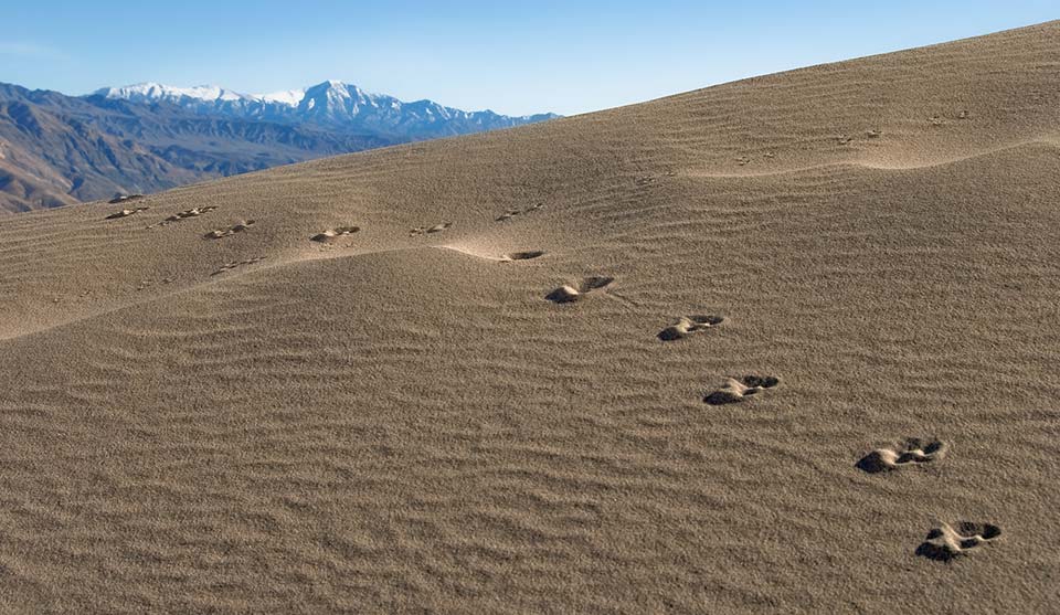 panamint dunes death valley