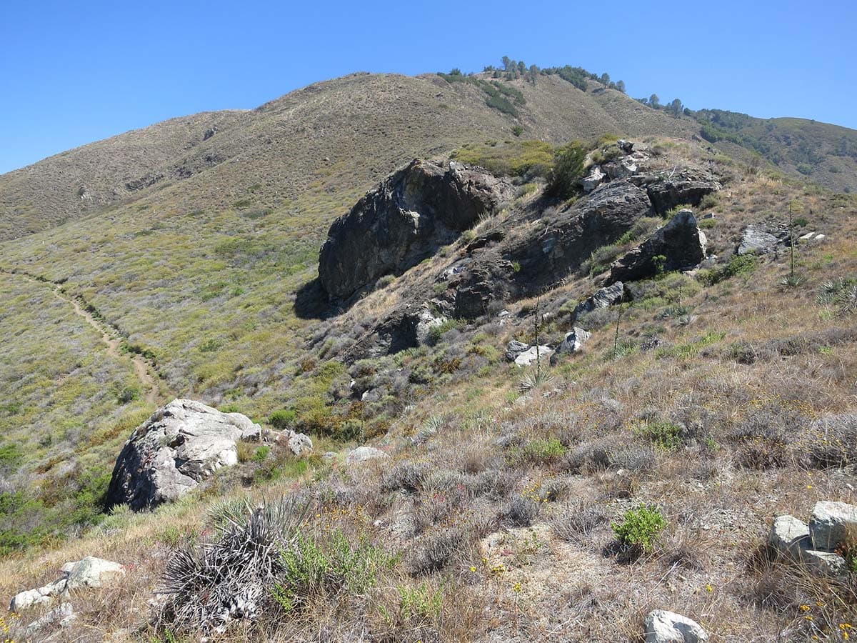 buckeye trail big sur