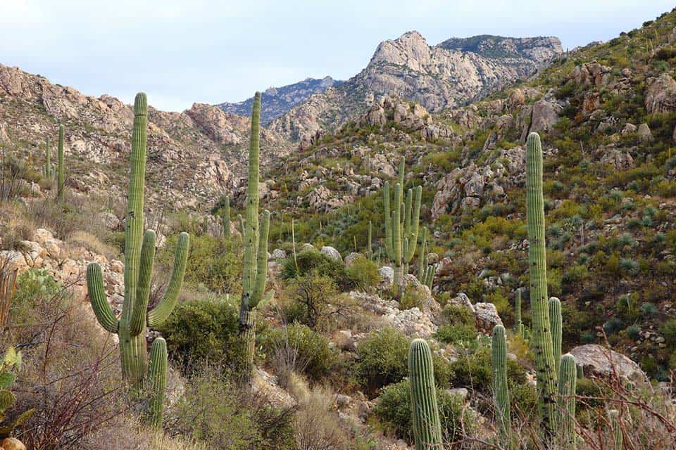 catalina state park camping