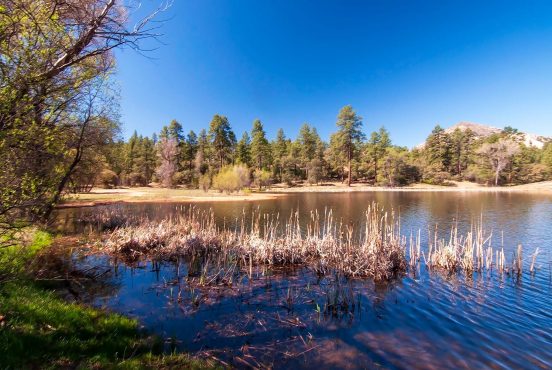 prescott national forest camping