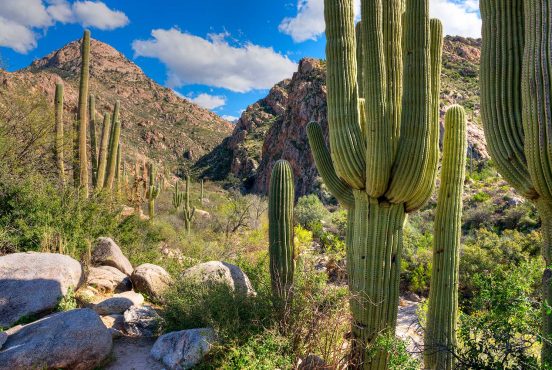 tucson hikes