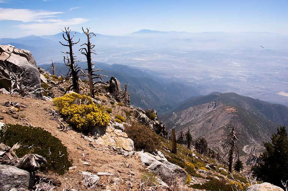 Cucamonga Peak