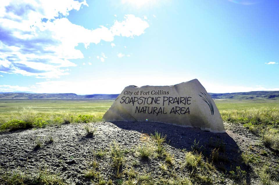 Soapstone Prairie