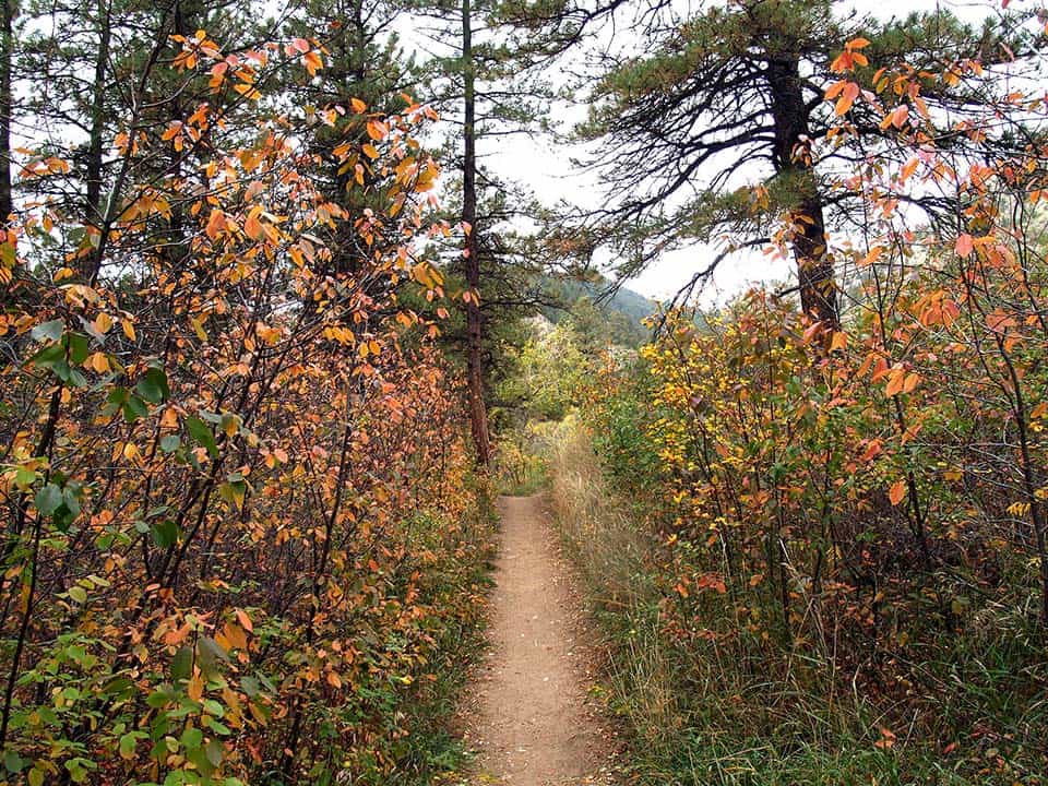 greyrock trail fort collins