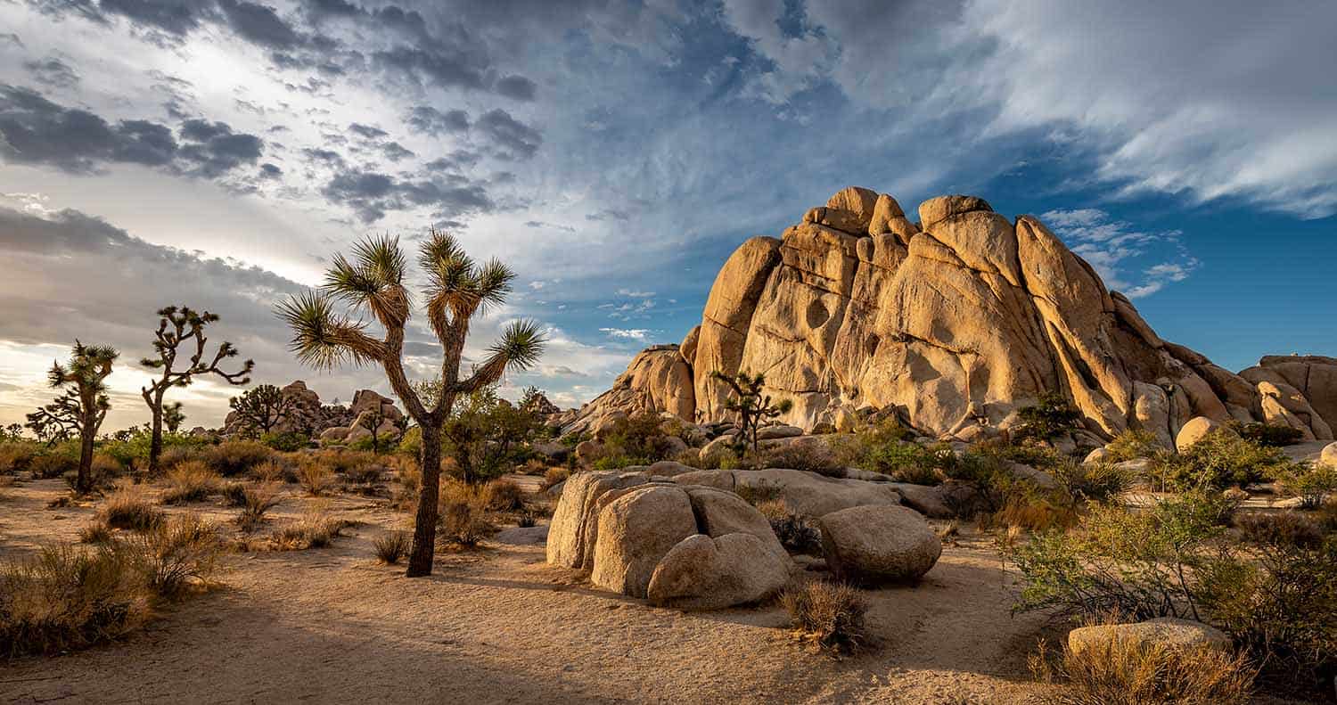 Joshua Tree National Park Joshua Tree National Park