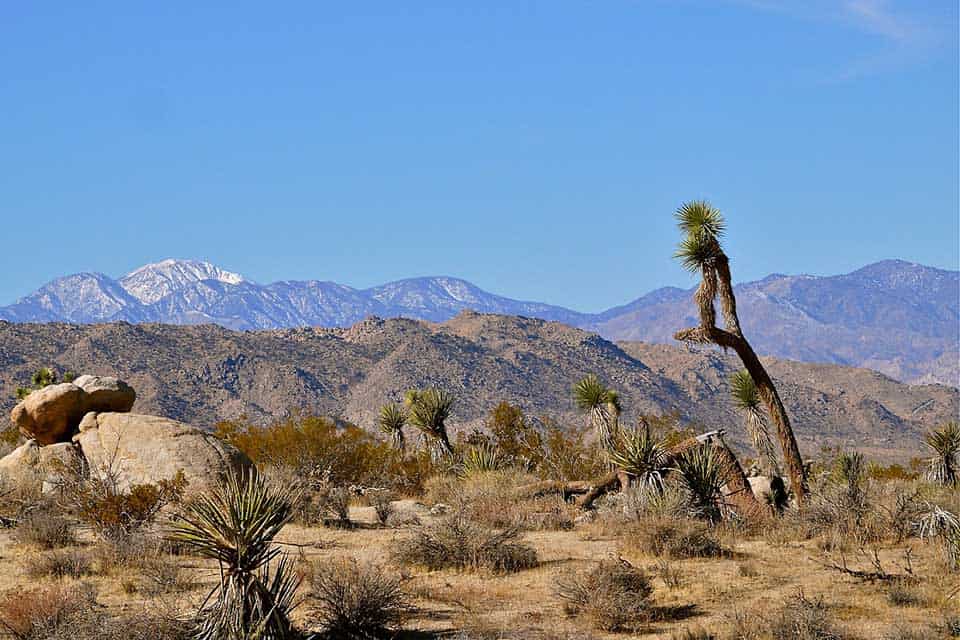 maze loop joshua tree