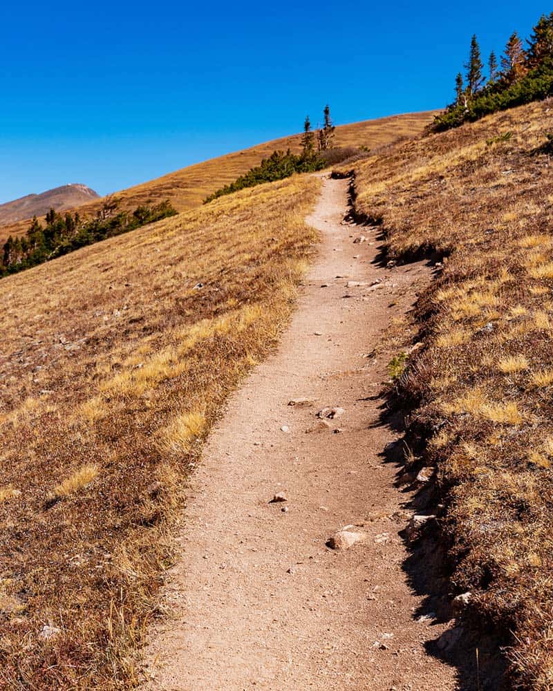 mount flora trail