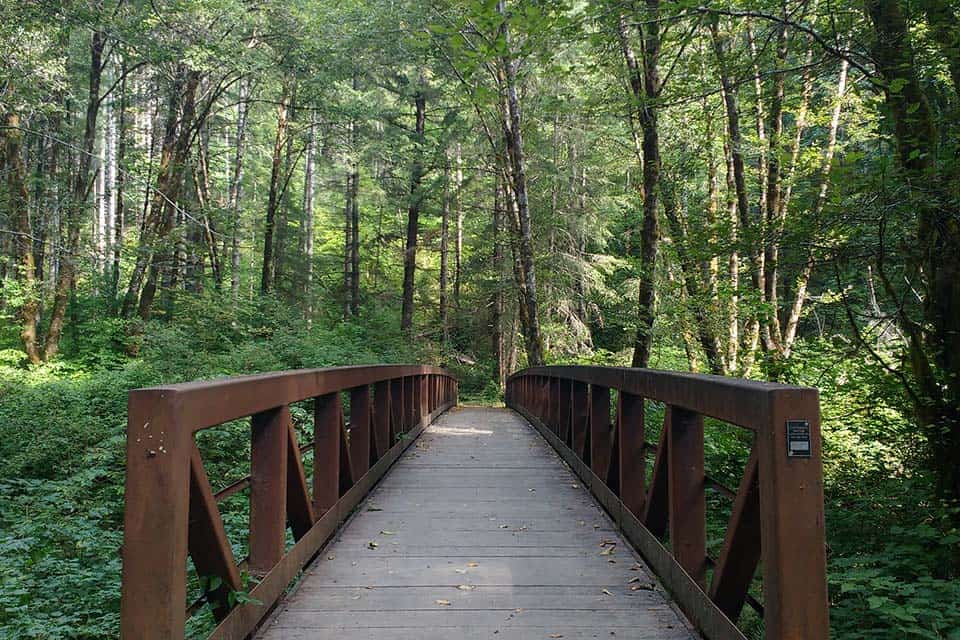 Alsea Falls Recreation Site