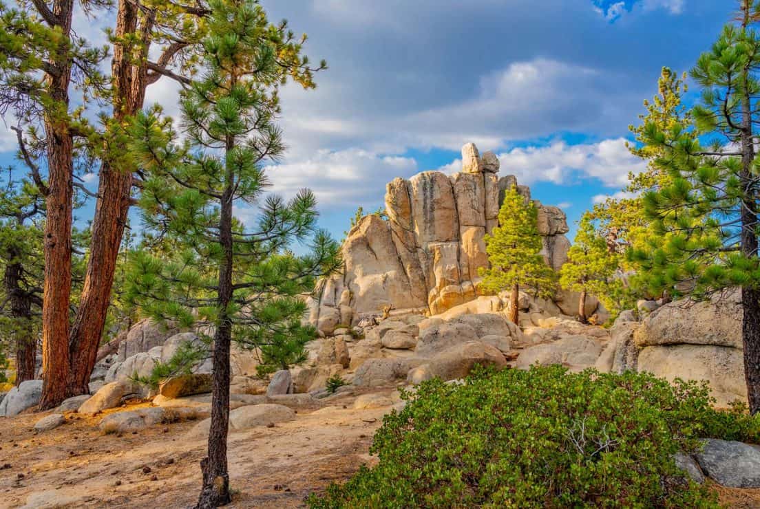 7 Beautiful Hikes Near Red Rocks Amphitheatre, Colorado - Territory Supply