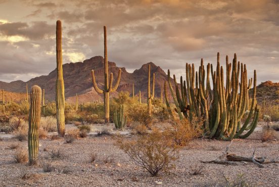 16 Best Places to Camp in Arizona - Territory Supply