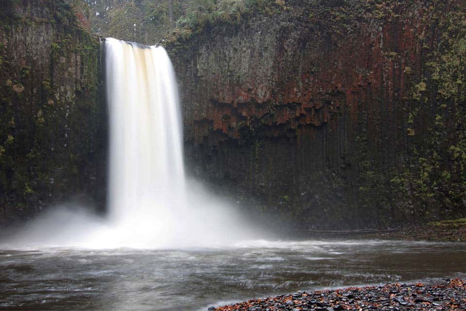 abiqua falls trail spring