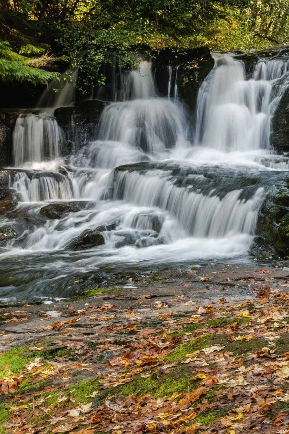 alsea falls oregon