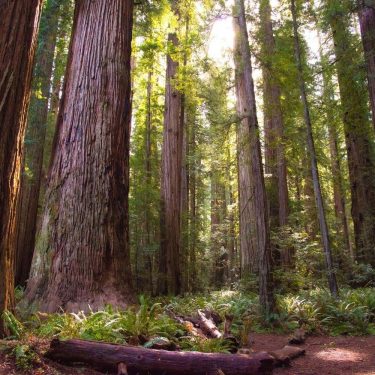 best hikes northern california