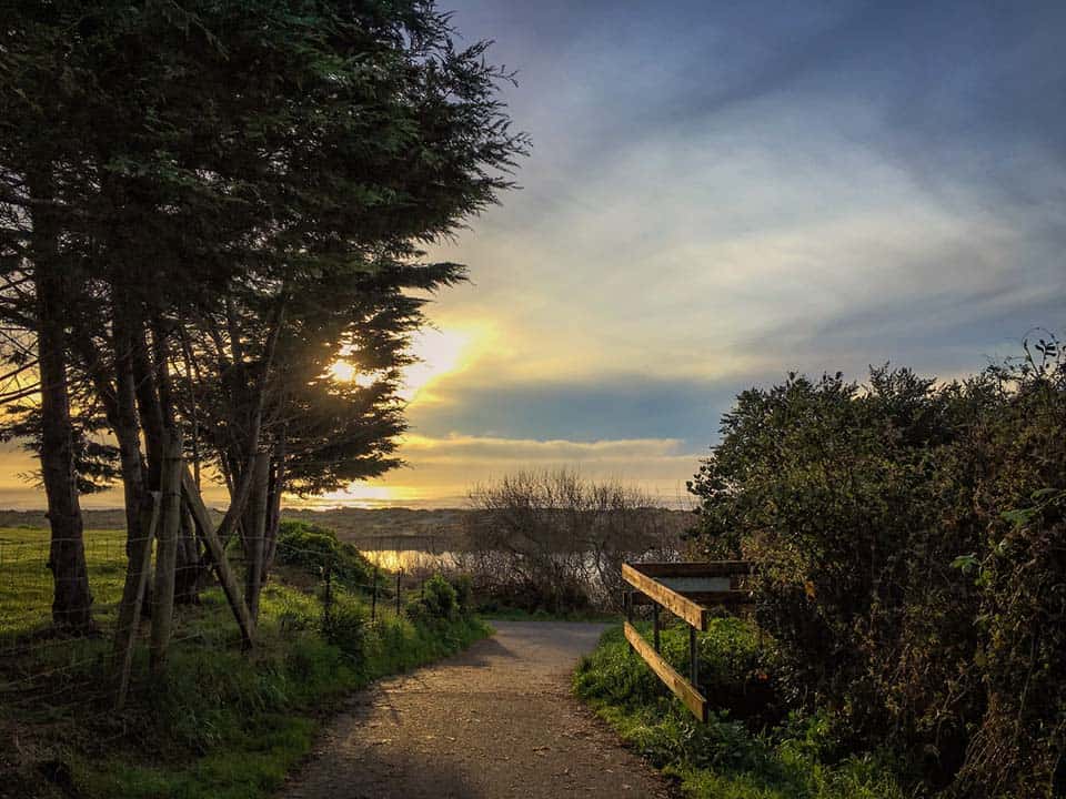 hammond coastal trail