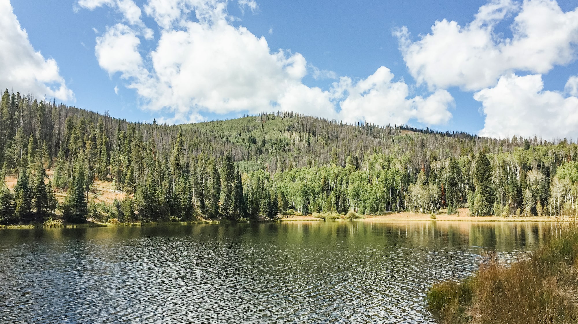 Forested hills surround Pearl Lake