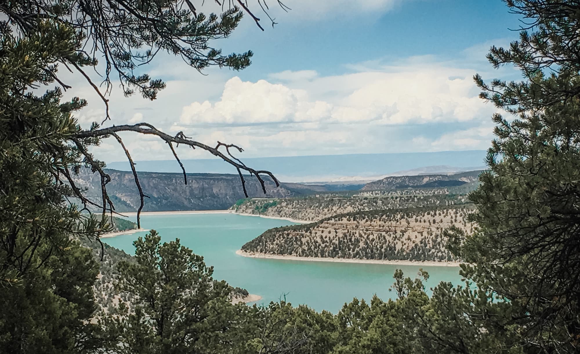 Overlooking Ridgway Reservoir from a trail