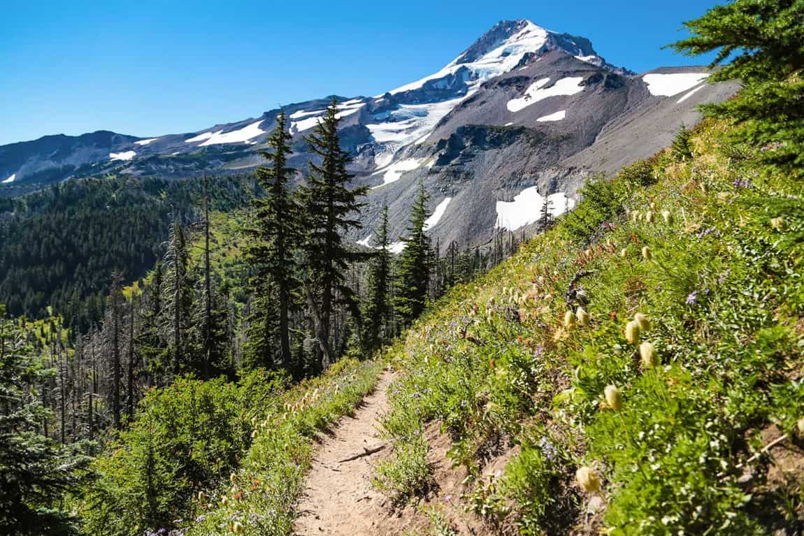 Trail Guide: Timberline Trail at Mount Hood Oregon Trail Guide: Timberline Trail at Mount Hood Oregon