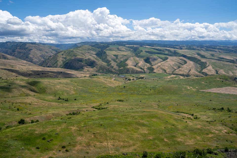 white bird grade idaho