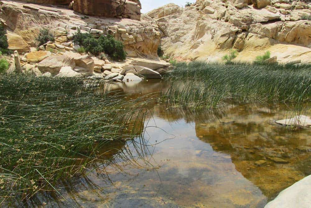 Calico Tanks Vegas Hike