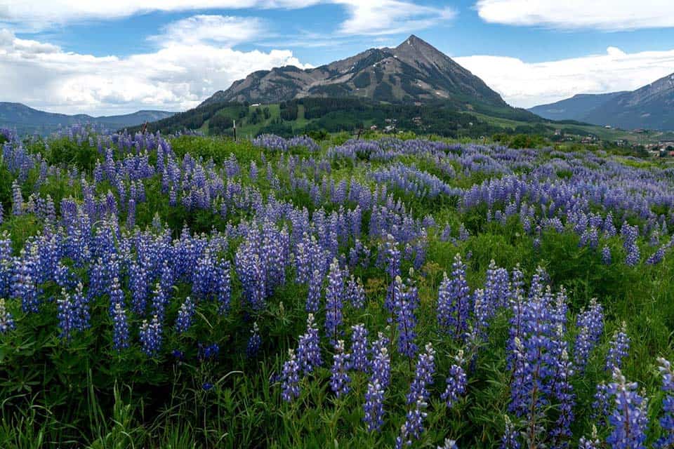 Snodgrass Mountain Trail