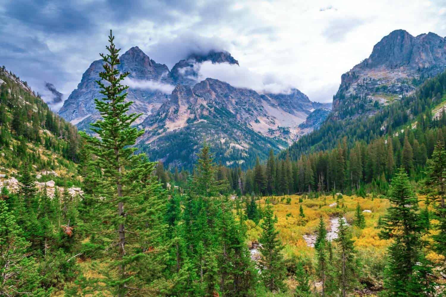 18 Best Hikes In Grand Teton National Park | vlr.eng.br
