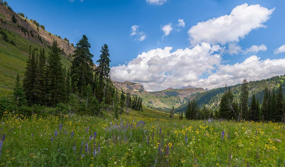 death canyon trail grand teton