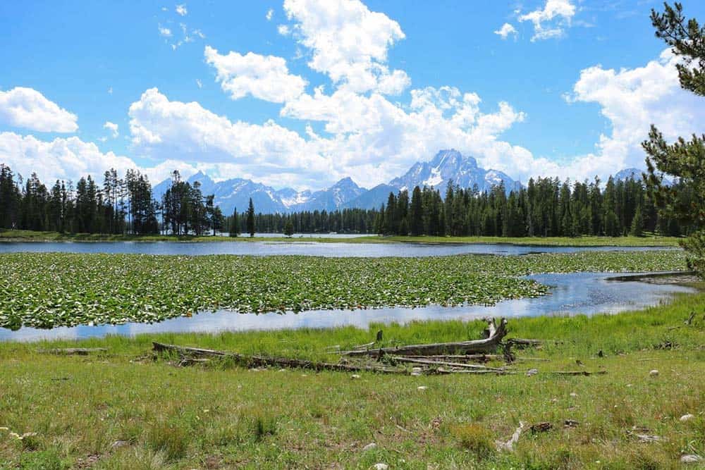 hermitage point trail grand teton