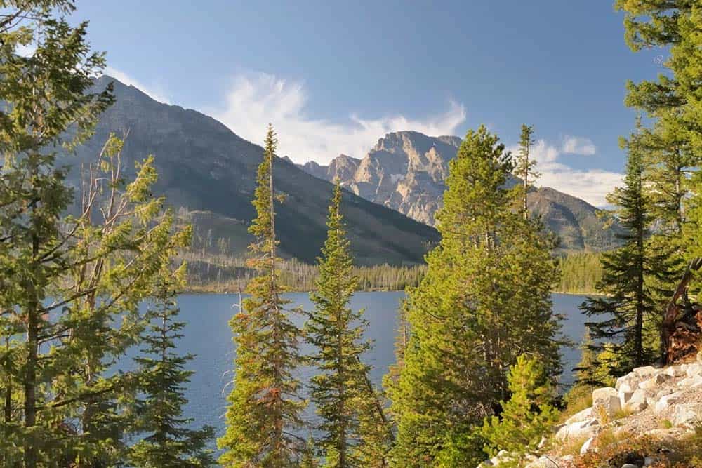 jenny lake loop trail grand teton