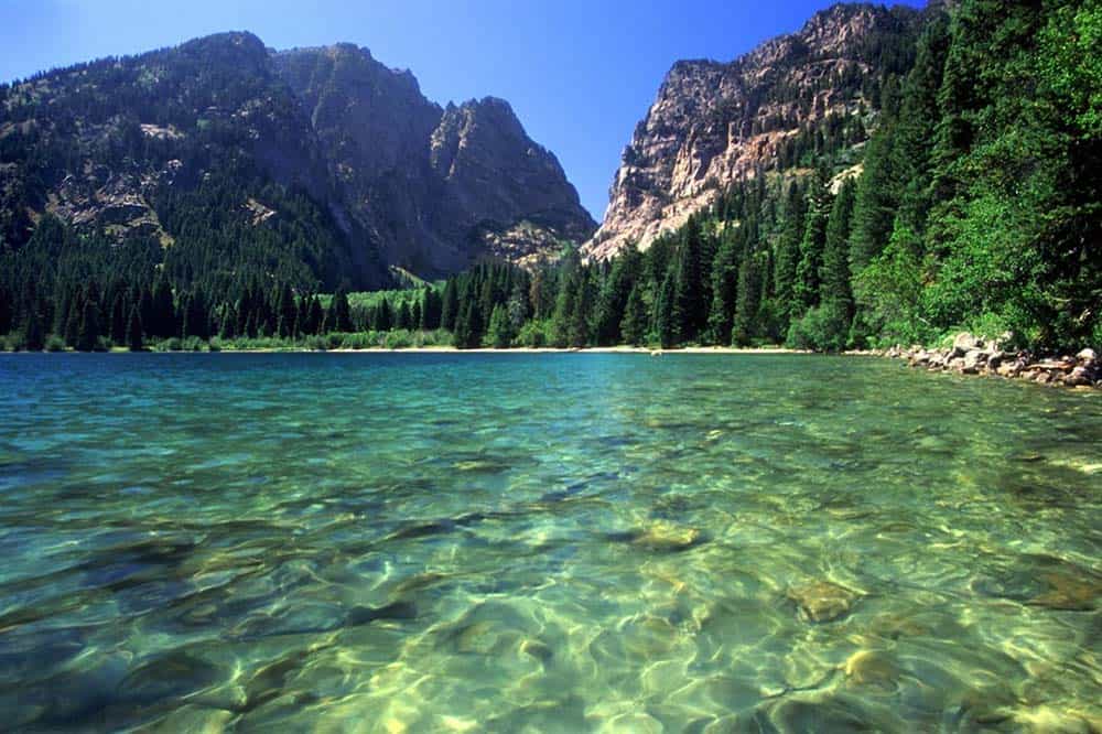 phelps lake grand teton