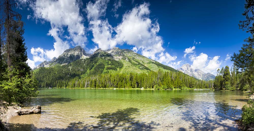 string lake grand teton