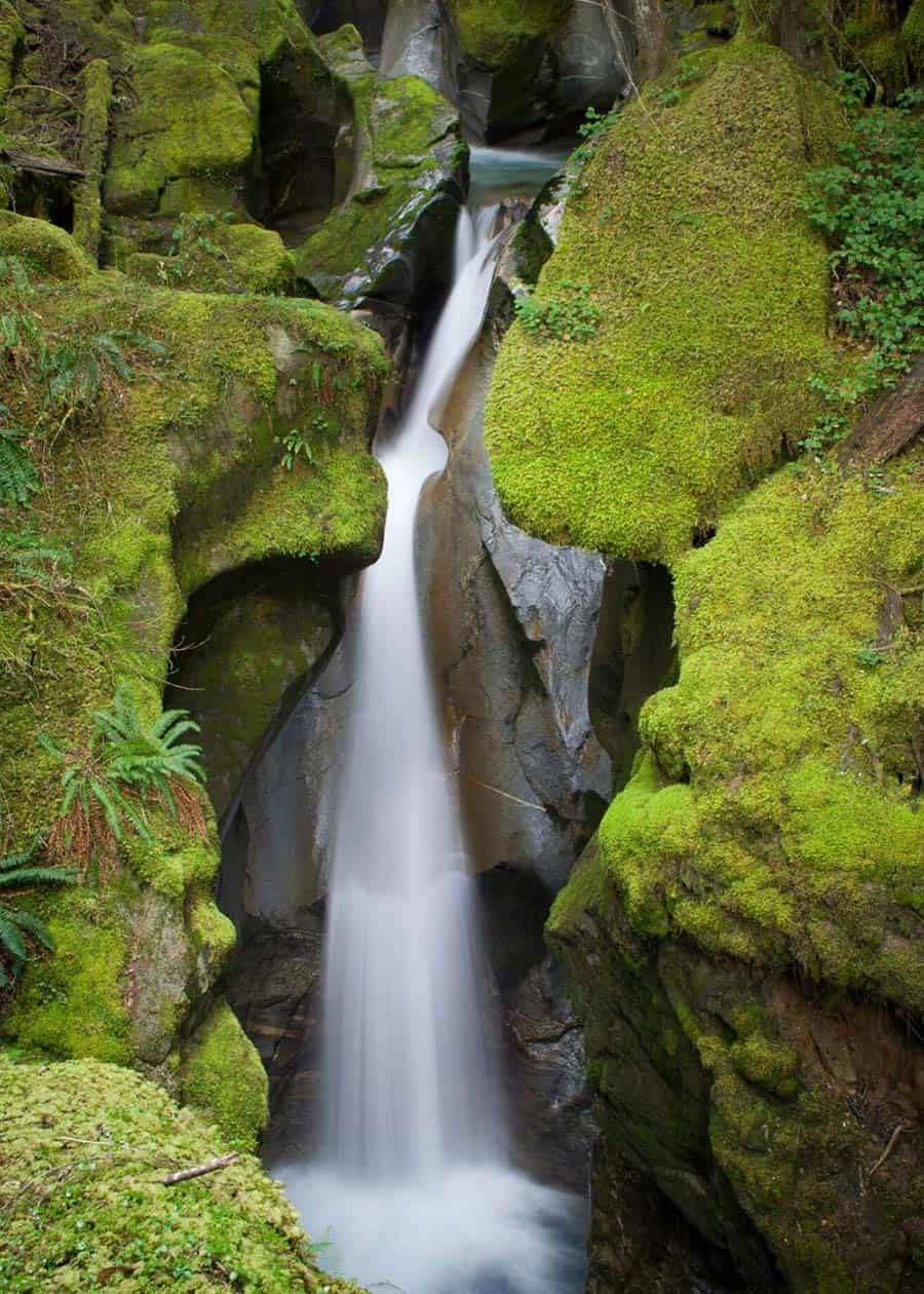 Ladder Creek Falls