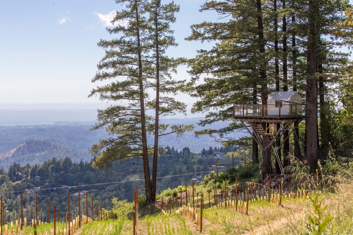 Monterey Bay treehouse rental