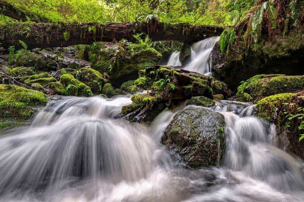 Trillium Falls