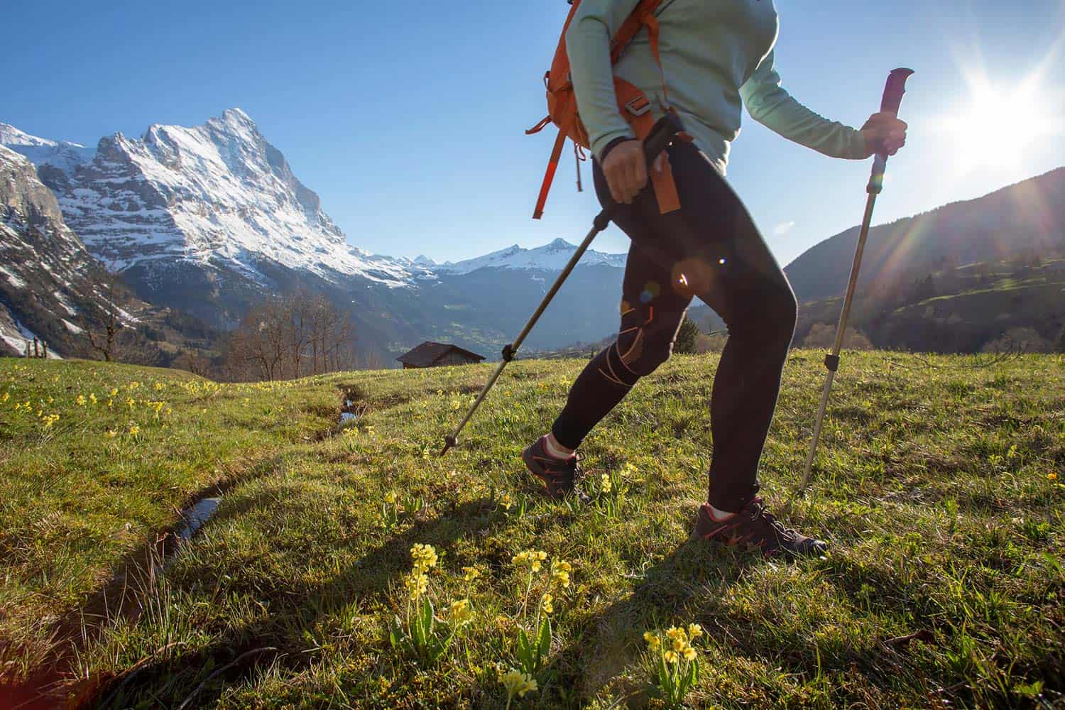 14 Best Hiking Leggings For Ultimate Comfort On The Trail | 10Adventures