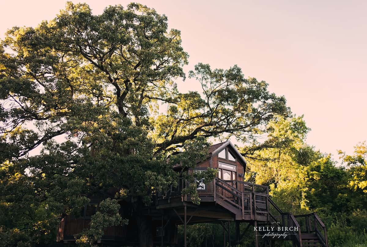 minnesota treehouse airbnb