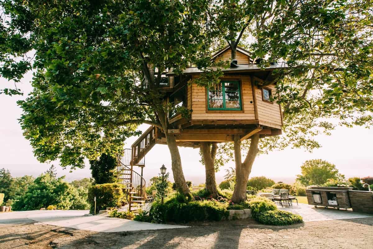 san jose ca treehouse